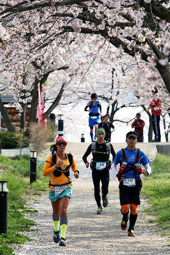 As belas paisagens do Japão encantaram a ultramaratonista Foto: Arquivo Pessoal