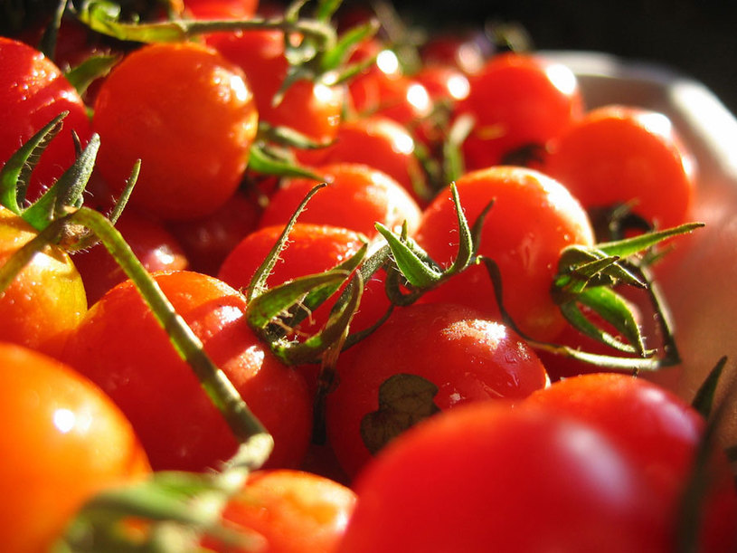 O tomate é um fruto rico em vitamina C, A e complexo B Foto: jinax/ Licença CC BY 2.0