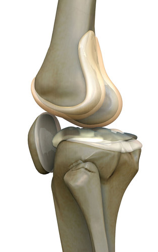 Muitas vezes a artrose está presente nos exames de imagem como raio X, tomografia ou ressonância, e não se manifesta clinicamente Foto: Ugren/Fotolia