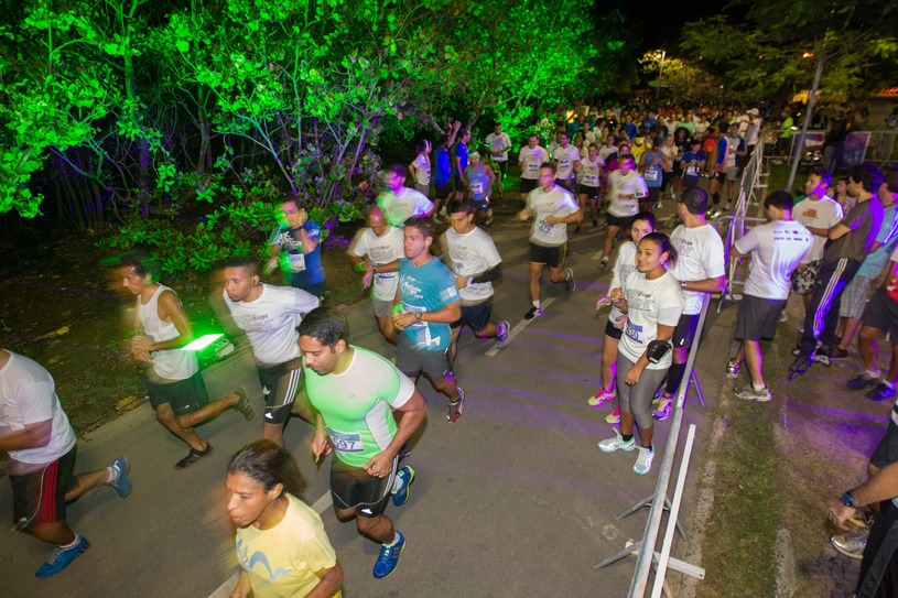 Foto: Treinight Light 2014 