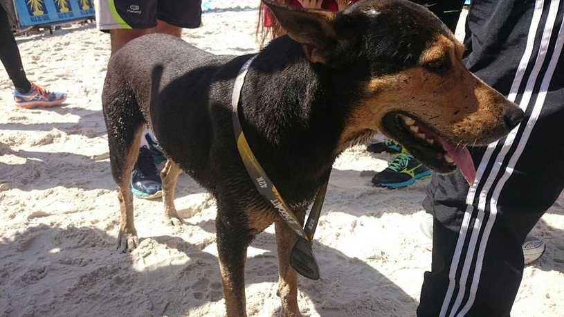 O cão maratonista acompanhou o campeão durante todo o percurso. Foto: Alexandre Koda/ Webrun