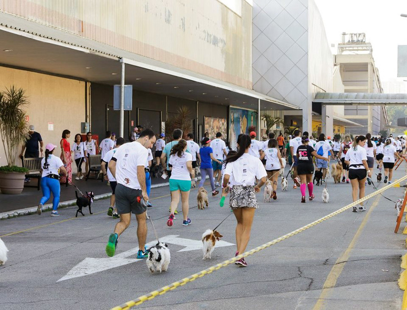 Bora mostrar que seu amigão é bom de corrida! Foto: divulgação