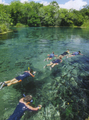 Com águas cristalinas, a região possibilita que os visitantes pratiquem a flutuação. Foto: Bonito_scan Steve Taylor/CC BY 2.0