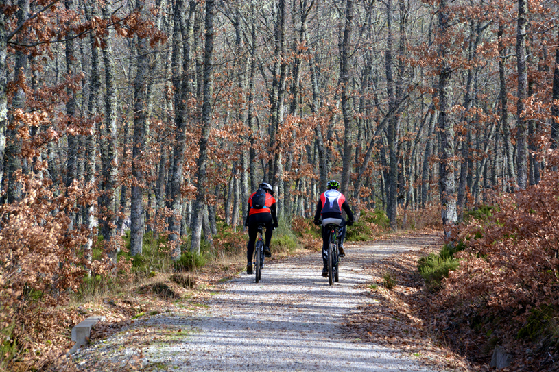MTB é cheio de percusos desafiados e incríveis paisagens Foto: uzkiland/Fotolia