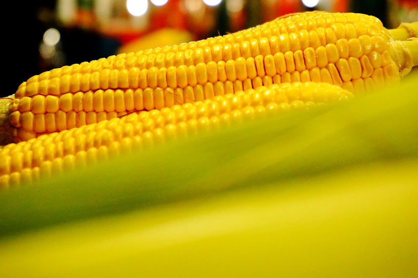 Foto: Maize/CC BY 2.0