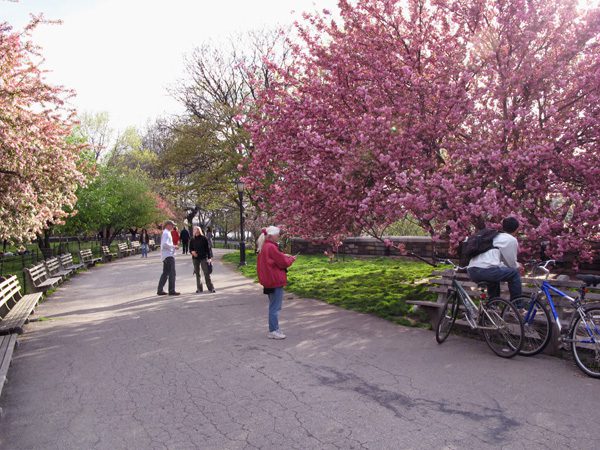A chegada será no Riverside Park em Manhattan Nova York (foto: Momos/Wikimedia Commons)