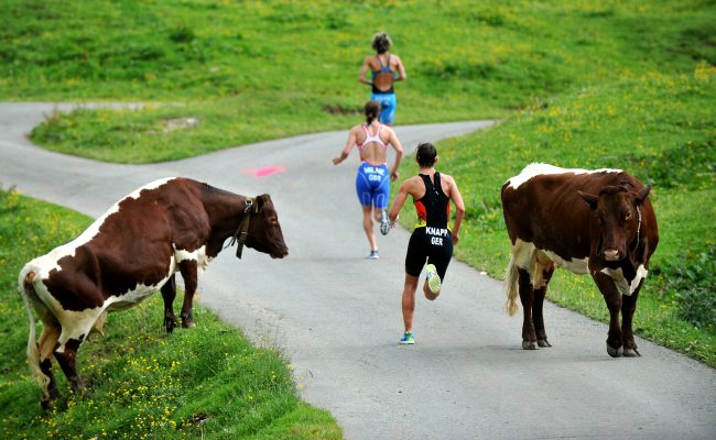 Além das dificuldades do percurso triatletas tiveram de desviar de alguns obstáculos nada usuais (foto: Divulgação/ Triathlon.org)