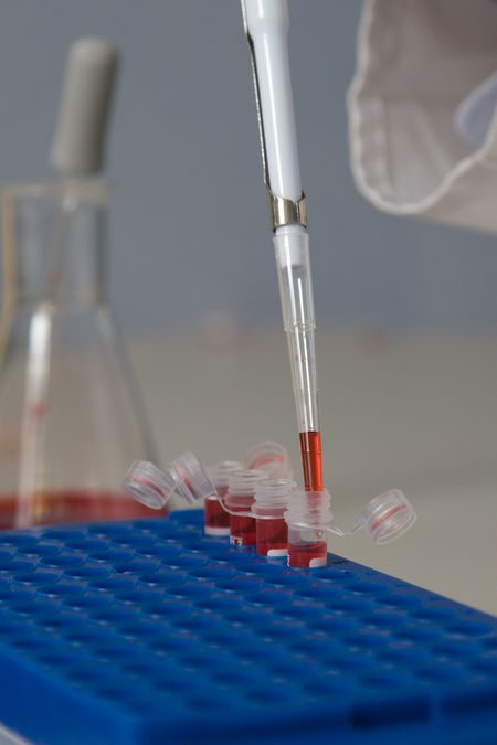 Os testes pretendem eliminar qualquer um que tente trapacear (foto: Stock.Xchng)