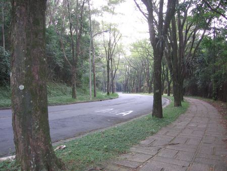 Visão parcial da Biologia (foto: Divulgação )