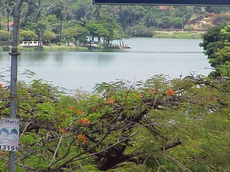 A bela Lagoa da Pampulha (foto: Harry Thomas Jr Arquivo WebRun)