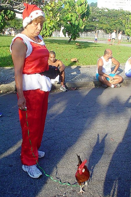 Maria de Lourdes a vovó que correu com um galo (foto: Patrícia Serrão/ www.webrun.com.br)