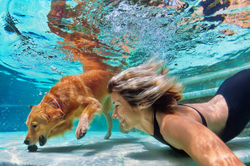 Foto: Fotolia
