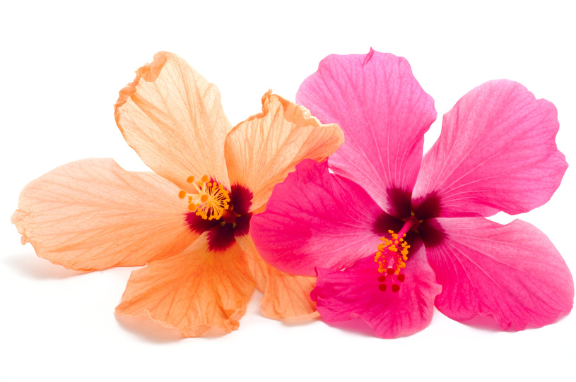 Foto: Nic_ol/Fotolia