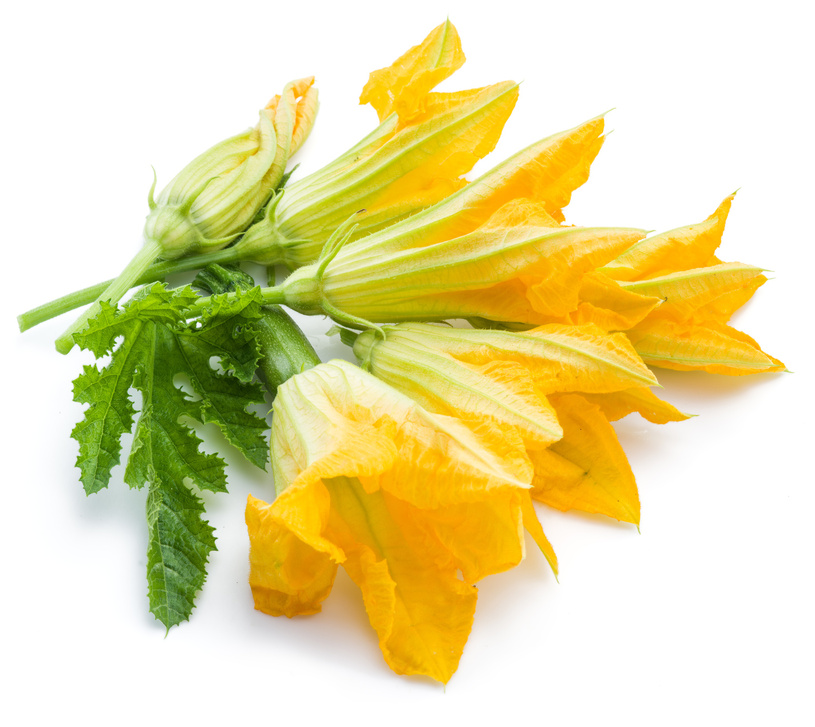 Foto: Volff/Fotolia