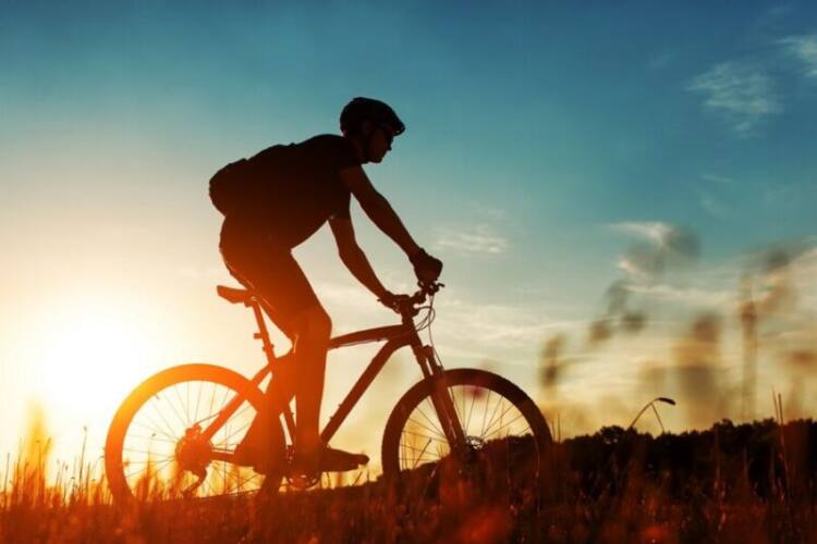 Levantamento mostra que as bikes continuam em alta no Brasil