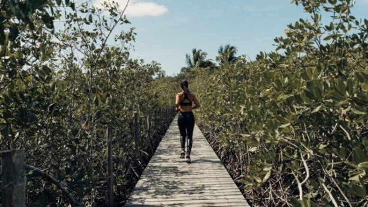 Trancoso Running: prova está confirmada em novembro e com inscrições abertas