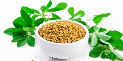 Destaques Nutrição