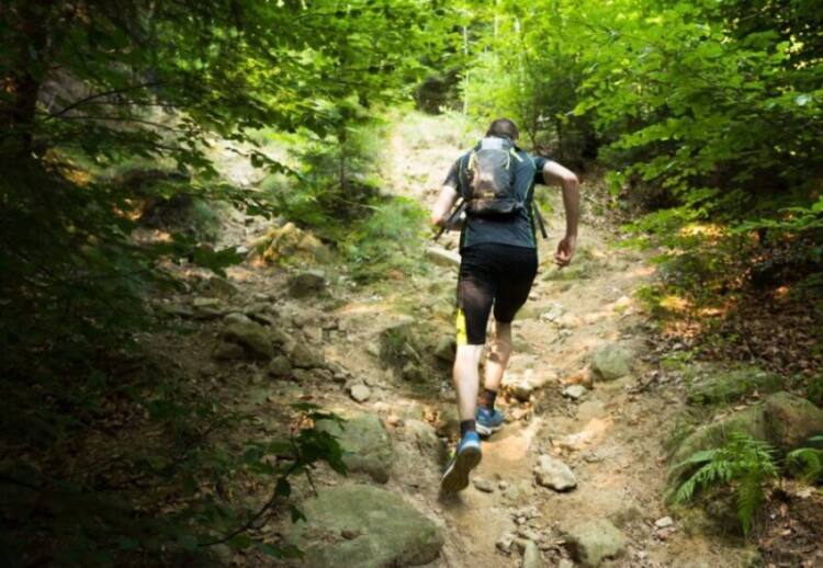 É papel do treinador conseguir conversar e conhecer o atleta da melhor forma possível Foto: Lukasx/Fotolia